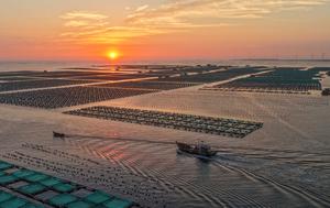 CHINA-SHANDONG-RONGCHENG-GRANJAS MARINAS-OPERACION-REANUDACION TRAS EL TIFON