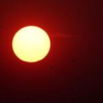 CHINA-LIAONING-KANGPING-AVES MIGRATORIAS