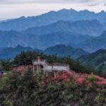 CHINA-ZHEJIANG-ALDEA DE JINLING-AZALEA ALPINA-TURISMO