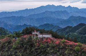 CHINA-ZHEJIANG-ALDEA DE JINLING-AZALEA ALPINA-TURISMO