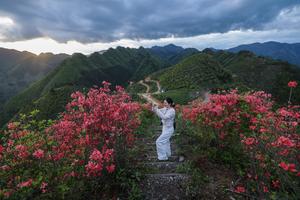 CHINA-ZHEJIANG-ALDEA DE JINLING-AZALEA ALPINA-TURISMO
