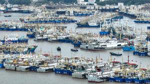 CHINA-ZHEJIANG-TIFON DOLPHIN-RESPUESTA DE EMERGENCIA