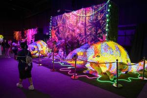 SUDAFRICA-JOHANNESBURGO-RAND SHOW 2026