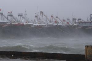 (SpotNews)CHINA-GUANGDONG-MAOMING-TYPHOON MATMO-LANDFALL (CN)