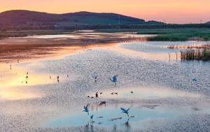 CHINA-HEILONGJIANG-ECOLOGIA-MEJORA