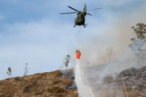 ECUADOR-POMASQUI-INCENDIO FORESTAL