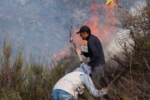 ECUADOR-POMASQUI-INCENDIO FORESTAL