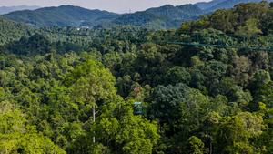 CHINA-YUNNAN-XISHUANGBANNA-RESERVA NATURAL NACIONAL