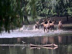 CHINA-BEIJING-BIODIVERSIDAD