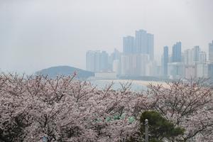 REPUBLICA DE COREA-BUSAN-PRIMAVERA-PAISAJE