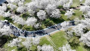 CHINA-PRIMAVERA-PAISAJE-TURISMO