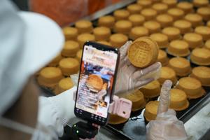 CHINA-YUNNAN-XUANWEI-PASTEL DE LUNA-PRODUCCION
