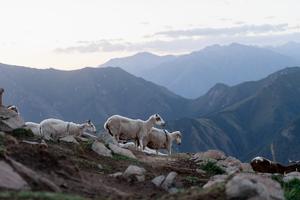 CHINA-GANSU-SUNAN-MONTAÑAS QILIAN-PAISAJE