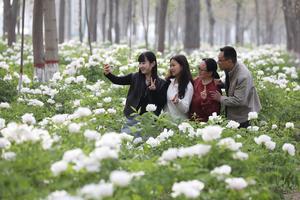 CHINA-PRIMAVERA-PAISAJE