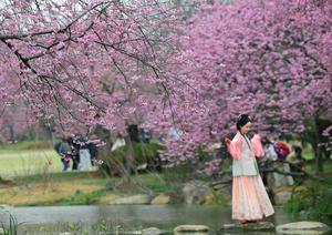 CHINA-PRIMAVERA-PAISAJE