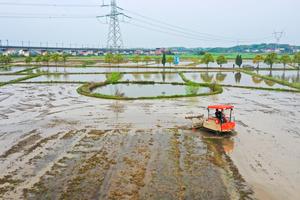 CHINA-PRIMAVERA-AGRICULTURA