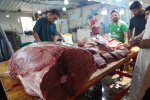 LIBIA-TRIPOLI-MERCADO DE PESCADO-PESCA