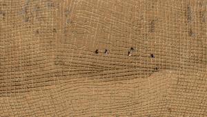 CHINA-NINGXIA-ZHONGWEI-MEDIO AMBIENTE-CONTROL DE ARENA