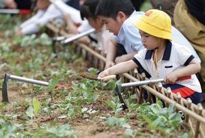 CHINA-FUJIAN-ZHANGZHOU-RESTAURACION ECOLOGICA-FRENTE MARITIMO URBANO
