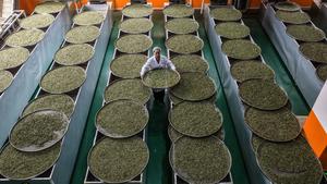 CHINA-GUANGXI-SANJIANG-TE