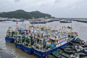 CHINA-ZHEJIANG-WENLING-TIFON BAVI-PREVENCION