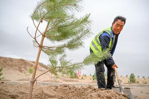 CHINA-MONGOLIA INTERIOR-HORQIN-CONTROL DE ARENA