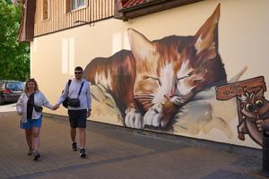 RUSIA-ZELENOGRADSK-CIUDAD DE LOS GATOS