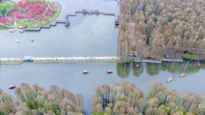 CHINA-PRIMAVERA-PAISAJE