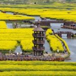 CHINA-PRIMAVERA-PAISAJE