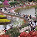 CHINA-PRIMAVERA-PAISAJE