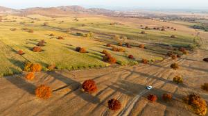 CHINA-MONGOLIA INTERIOR-LIGA DE HINGGAN-MAPLE-PAISAJE