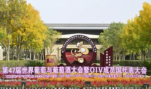 CHINA-YINCHUAN-CONGRESO MUNDIAL DE LA VIÑA Y EL VINO-INAUGURACION