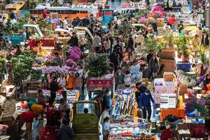 CHINA-YUNNAN-KUNMING-DOUNAN-MERCADO DE FLORES