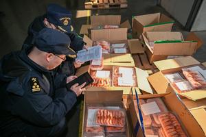 CHINA-TIANJIN-AÑO NUEVO CHINO-PRODUCTOS FRESCOS IMPORTADOS