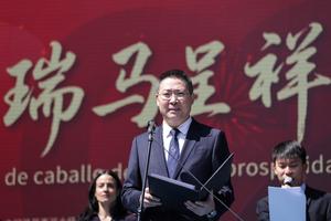 MEXICO-CIUDAD DE MEXICO-AÑO NUEVO CHINO