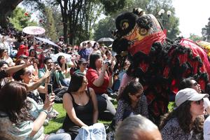 MEXICO-CIUDAD DE MEXICO-AÑO NUEVO CHINO