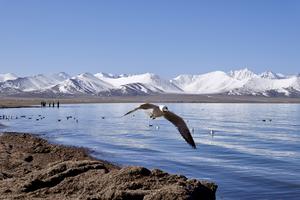 CHINA-XIZANG-NAM CO-PAISAJE