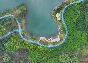 CHINA-HEBEI-XIONG'AN-REFORESTACION