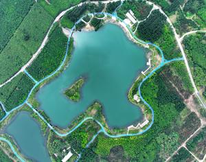 CHINA-HEBEI-XIONG'AN-REFORESTACION