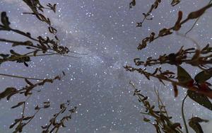 CHINA-HEILONGJIANG-CIELO ESTRELLADO-AGRICULTURA
