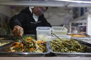 MEXICO-CIUDAD DE MEXICO-NOPAL