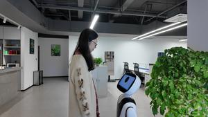 CHINA-SICHUAN-CHENGDU-ROBOT DE COMPAÑIA-ATENCION A PERSONAS MAYORES