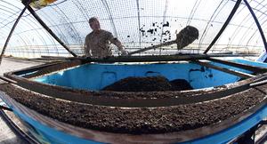 CHINA-HEILONGJIANG-GRUPO BEIDAHUANG-PREPARATIVOS PARA EL ARADO DE PRIMAVERA