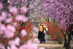 CHINA-PAISAJE PRIMAVERAL-TURISMO