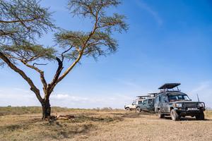 KENIA-VIDA SILVESTRE-TURISMO