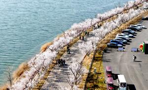 CHINA-PAISAJE PRIMAVERAL-TURISMO