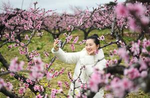 CHINA-PAISAJE PRIMAVERAL-TURISMO