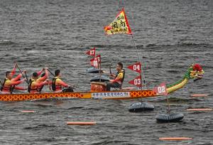 BRASIL-SAO PAULO-BOTES DE DRAGON-COMPETENCIA