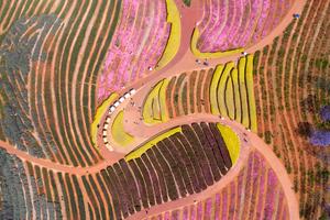 CHINA-YUNNAN-YUXI-LAGO FUXIAN-PAISAJE PRIMAVERAL-TURISMO