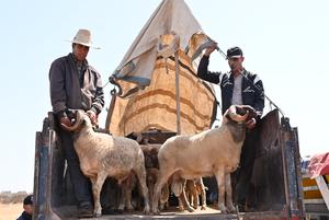 MARRUECOS-RABAT-EID AL-ADHA-MERCADO